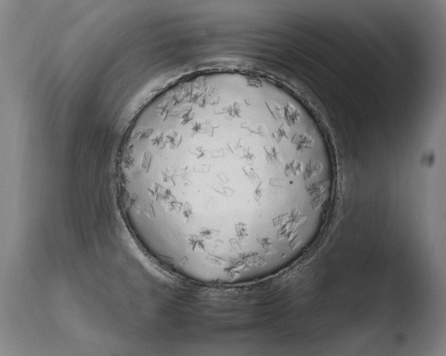 X0000108481429200904241249