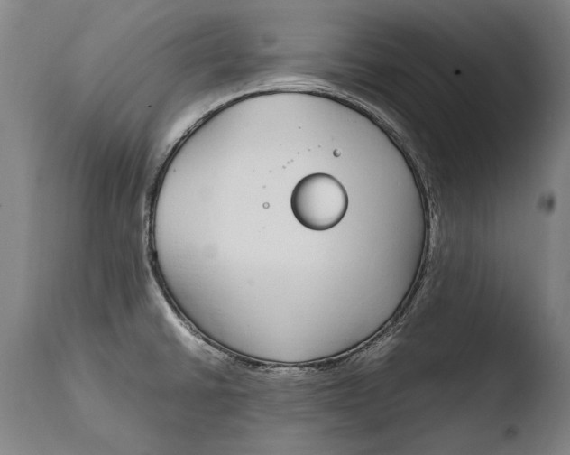 X0000108481430200904241249