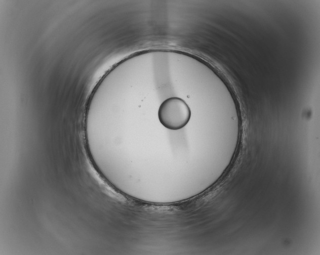 X0000108481432200904241249