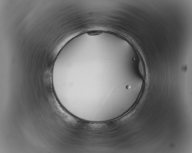 X0000108481433200904241249