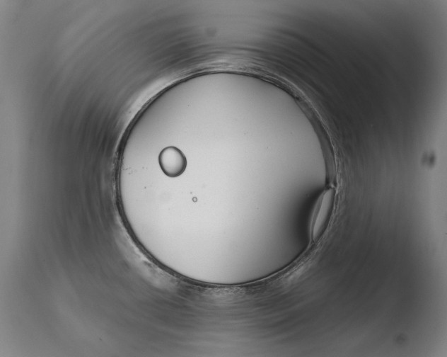 X0000108481434200904241249