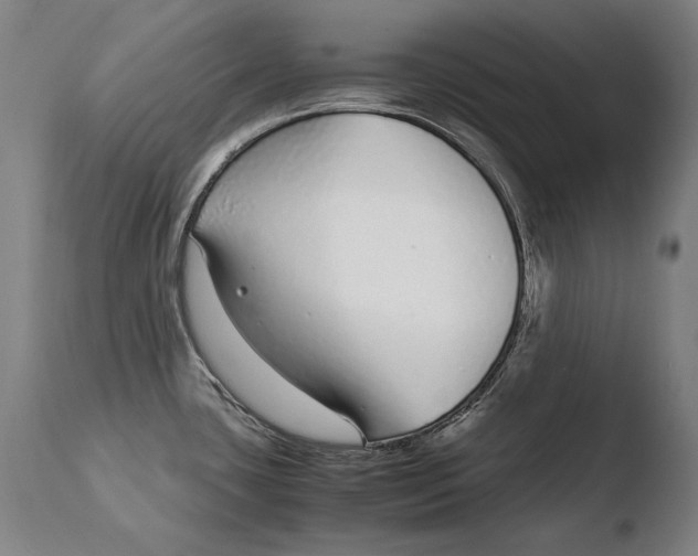 X0000108481435200904241249