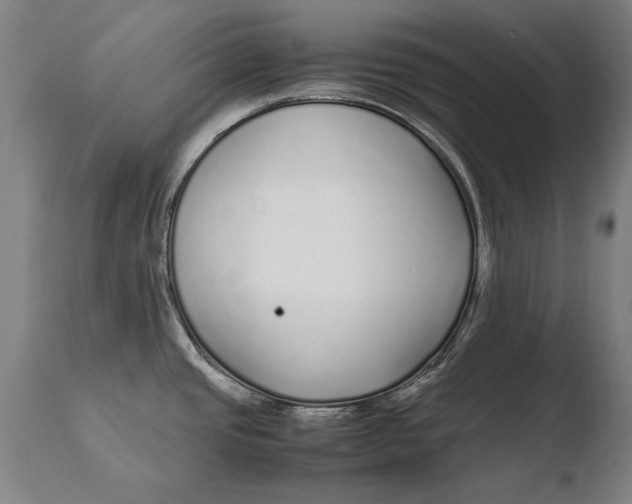 X0000108481437200904241249