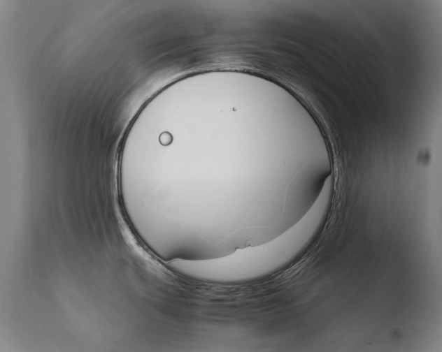 X0000108481439200904241249