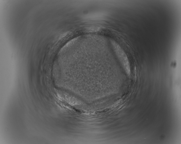 X0000108481441200904241248