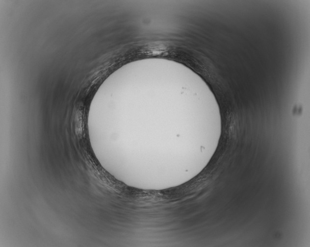 X0000108481442200904241248