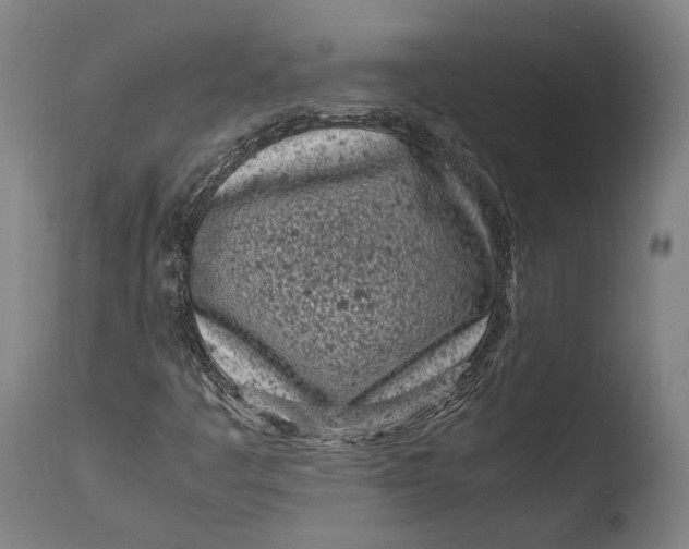 X0000108481445200904241248