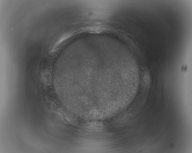 X0000108481446200904241248