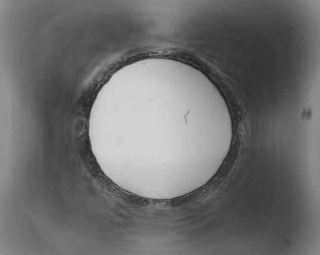 X0000108481447200904241248