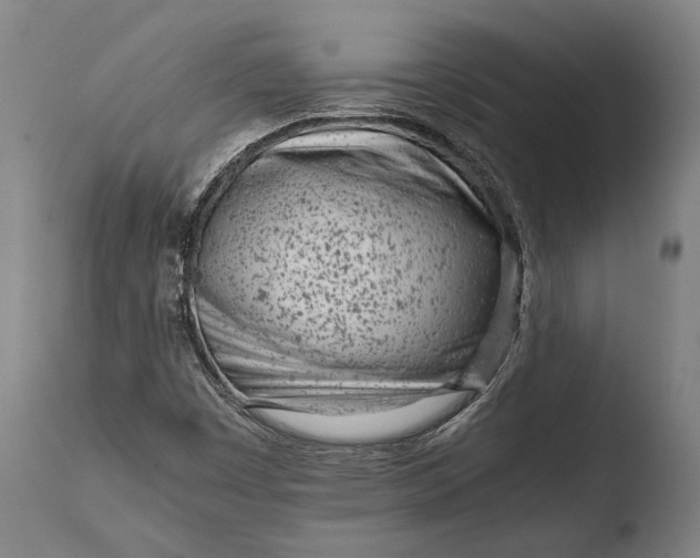 X0000108481449200904241248