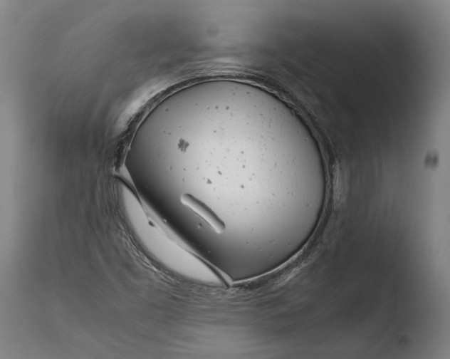 X0000108481453200904241248