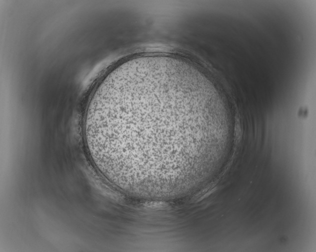 X0000108481454200904241248
