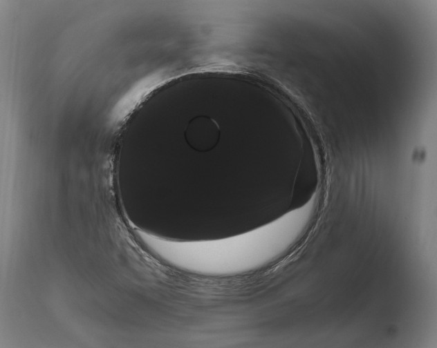 X0000108481455200904241248