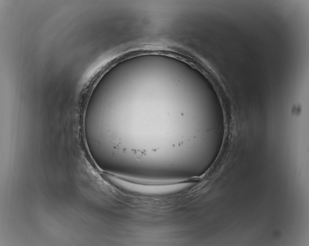X0000108481456200904241248