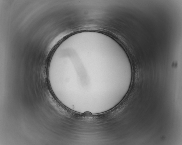 X0000108481458200904241248