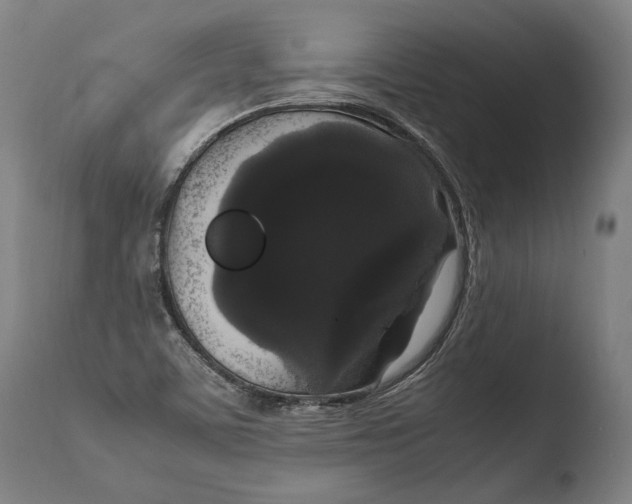X0000108481459200904241248