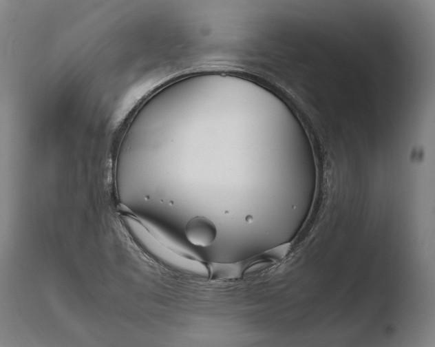 X0000108481461200904241248