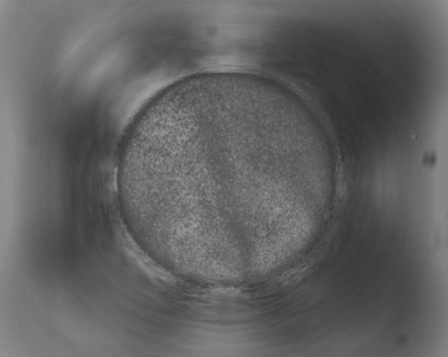 X0000108481462200904241248