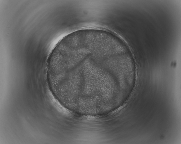 X0000108481463200904241248