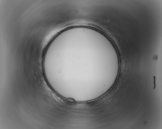 X0000108481464200904241248