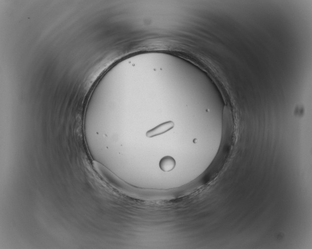 X0000108481465200904241248