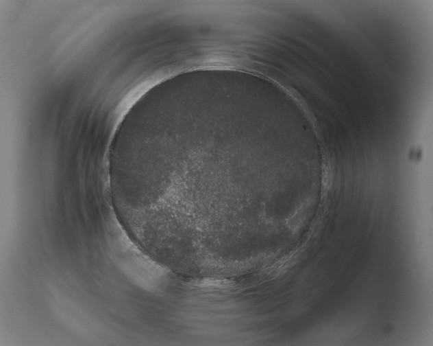 X0000108481466200904241248
