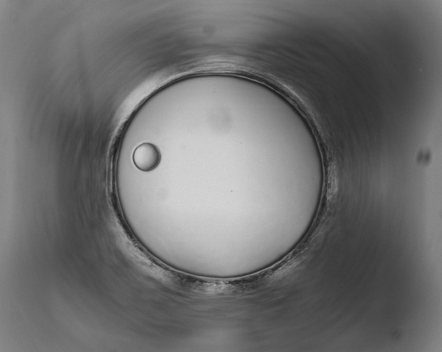 X0000108481467200904241248
