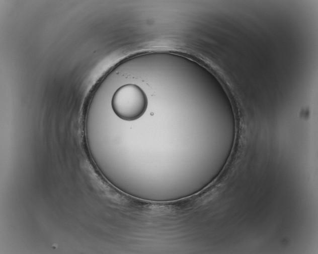 X0000108481469200904241248