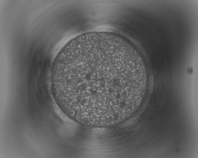 X0000108481470200904241248