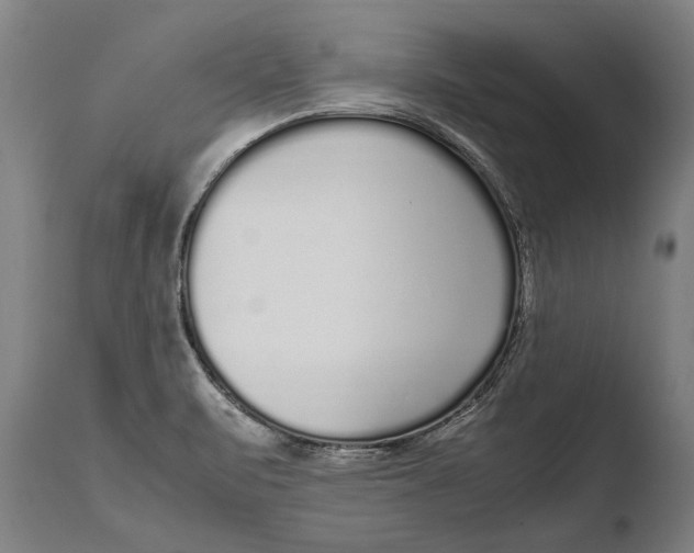 X0000108481471200904241248