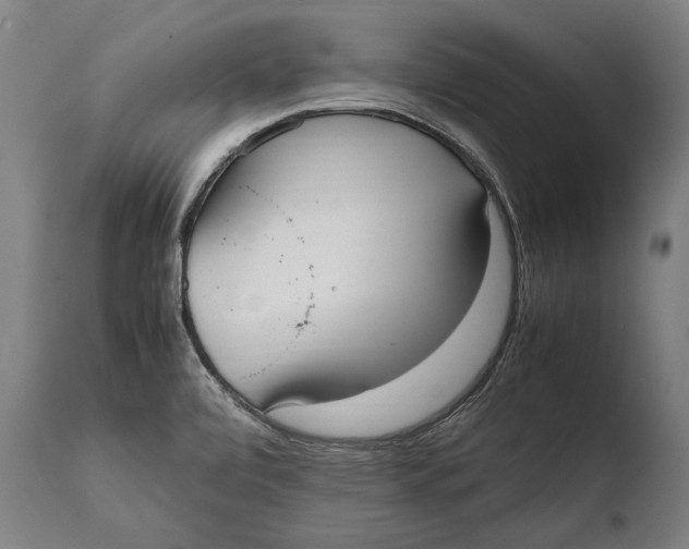 X0000108481472200904241248