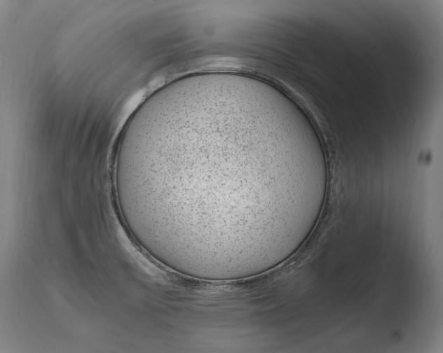 X0000108481475200904241248