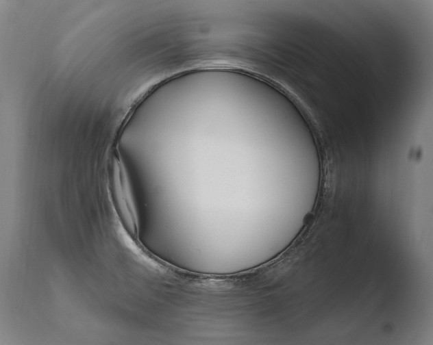 X0000108481476200904241248