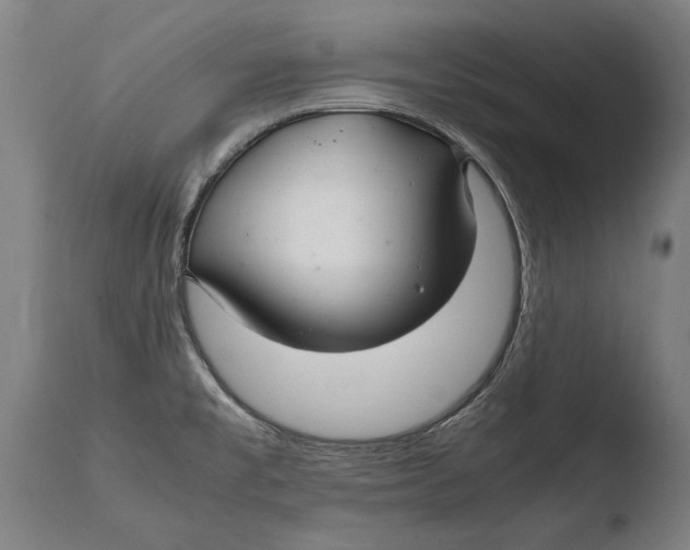 X0000108481477200904241248