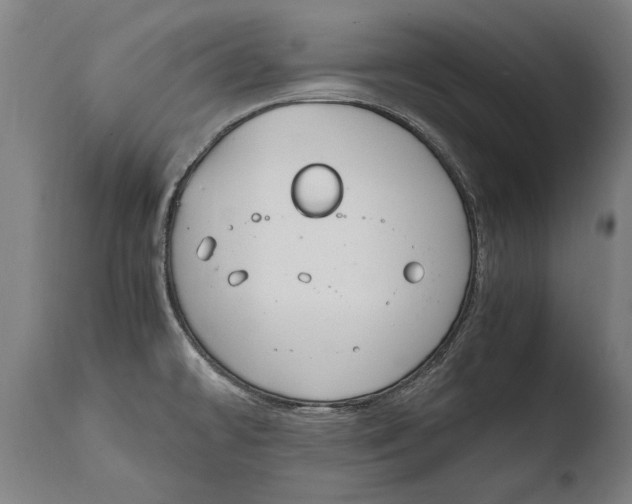 X0000108481478200904241248