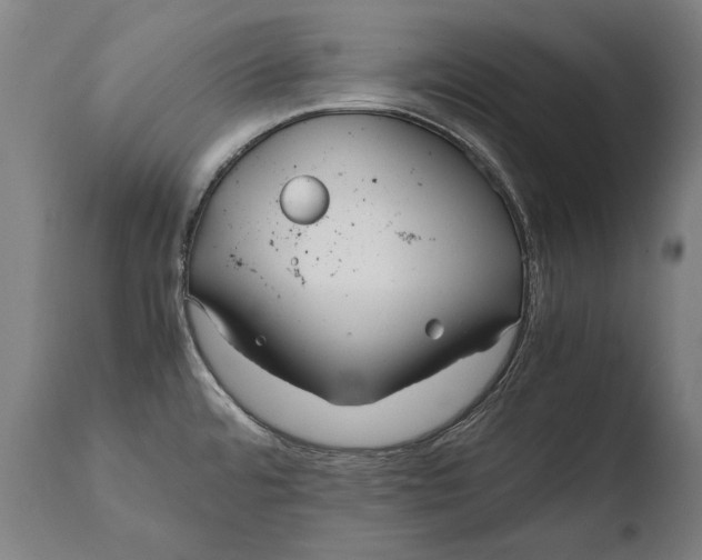 X0000108481480200904241248