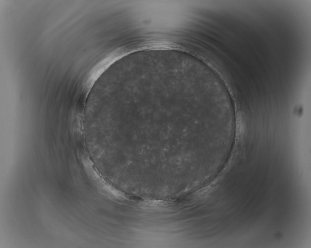 X0000108481481200904241248