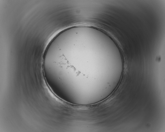 X0000108481484200904241248