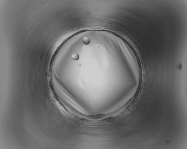 X0000108481485200904241248