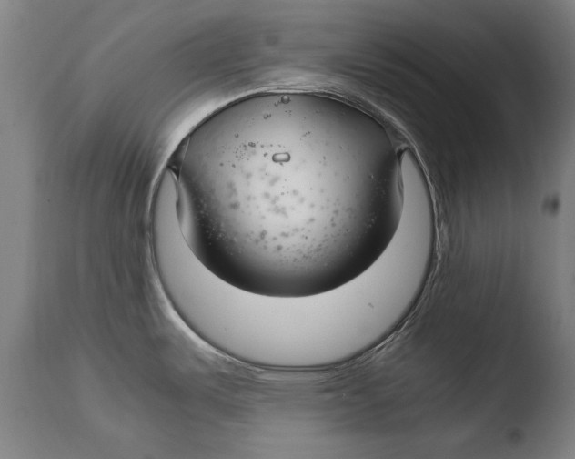 X0000108481487200904241248