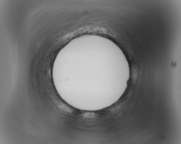 X0000108481489200904241247