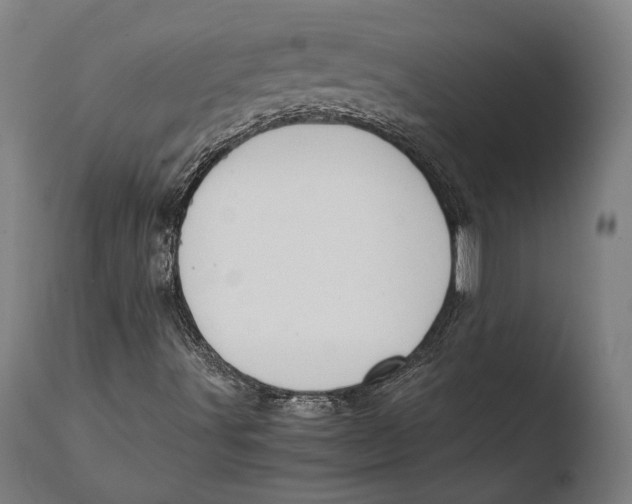 X0000108481491200904241247