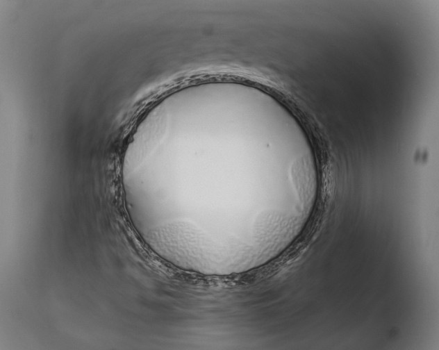 X0000108481494200904241247