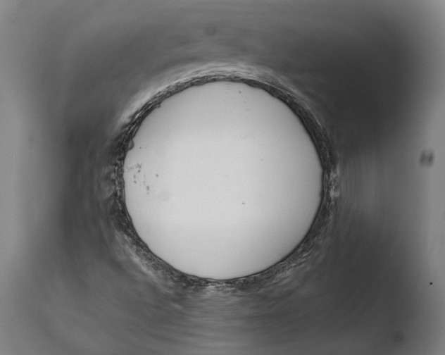 X0000108481496200904241247