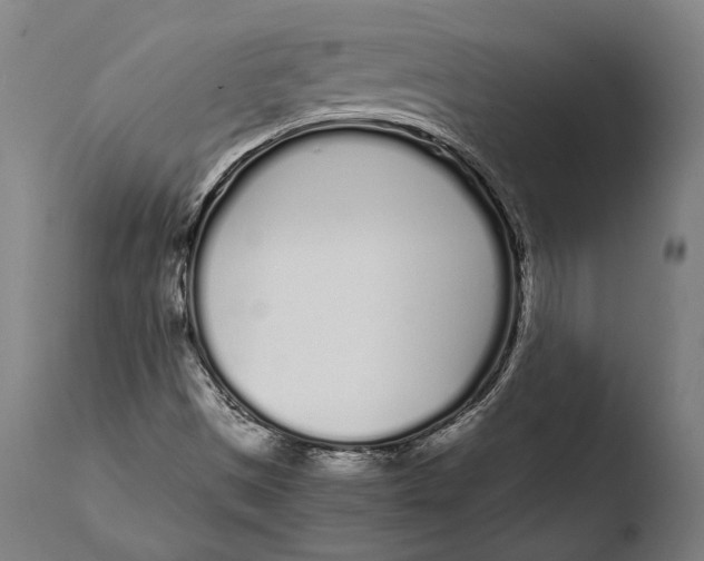 X0000108481497200904241247
