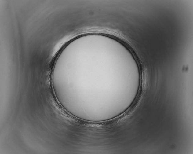 X0000108481501200904241247