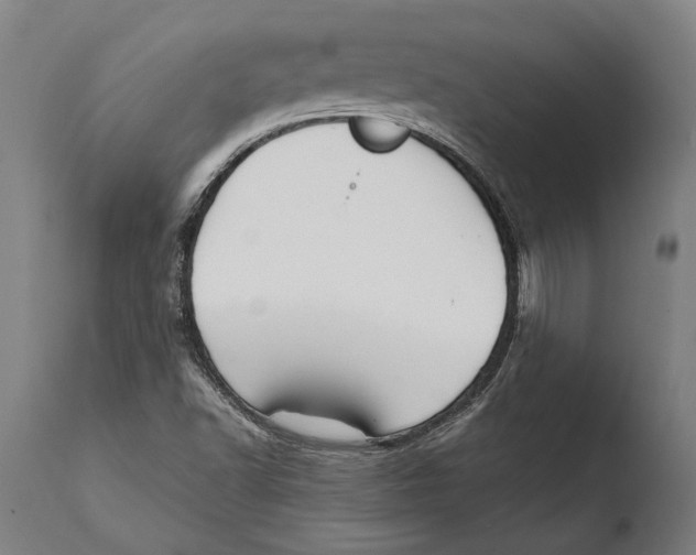 X0000108481502200904241247