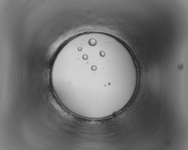 X0000108481503200904241247