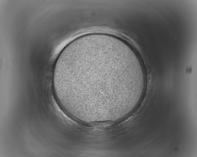 X0000108481504200904241247