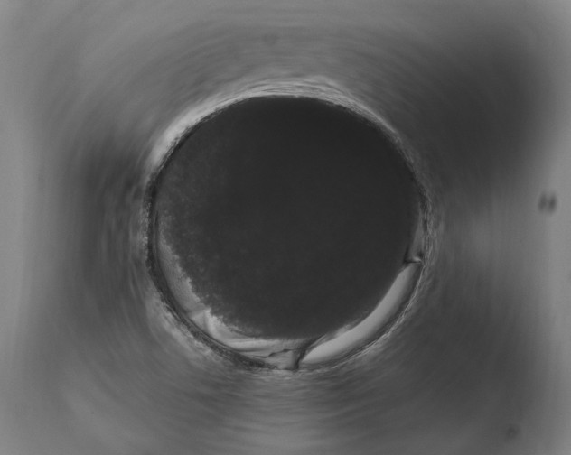 X0000108481506200904241247